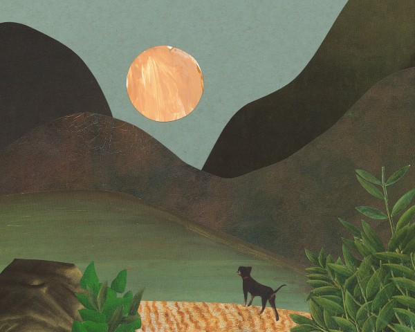 Venture Cove by Kimberly McGraw Moore