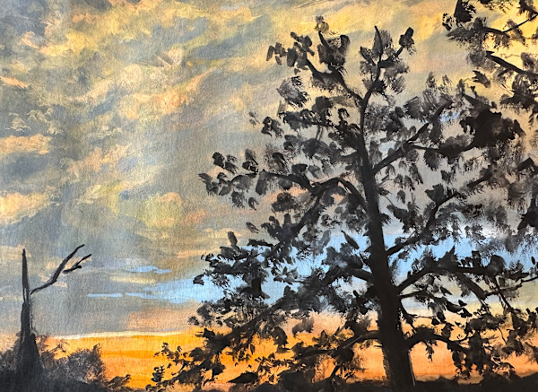 Barbarossa Pine, 2024 by Hannah Rosenberg