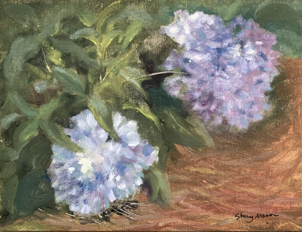 Blue Hydrangeas, Plein Air Daily Challenge by Sherry Mason