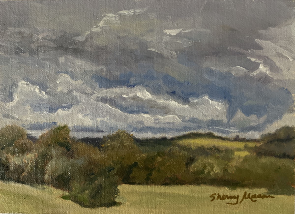 Rain Clouds Study, en plein air by Sherry Mason