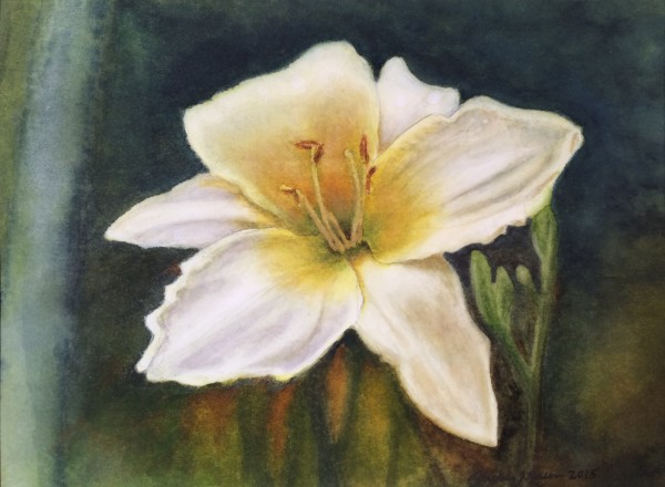 White Daylily in Repose by Sherry Mason