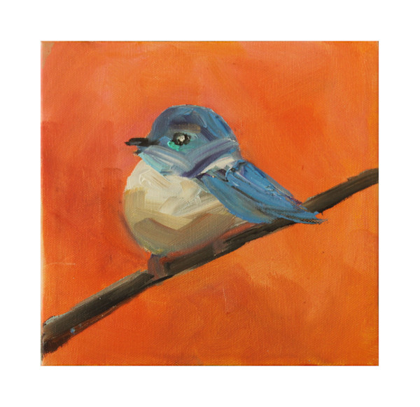 A Little Birdy Told Me, Image 1.