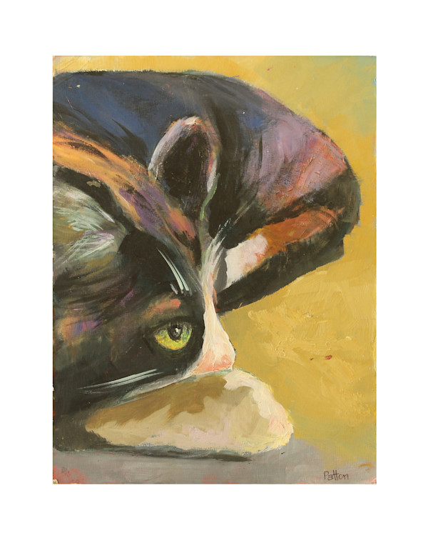 Catnapping by Holly Patton, Image 1.