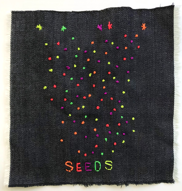 Seeds by Anne M Bray