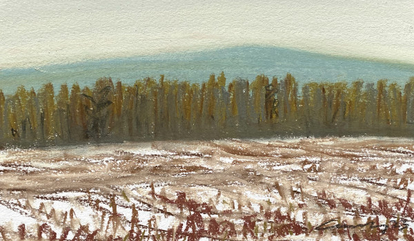 Winter Cornfield by Anne M Bray