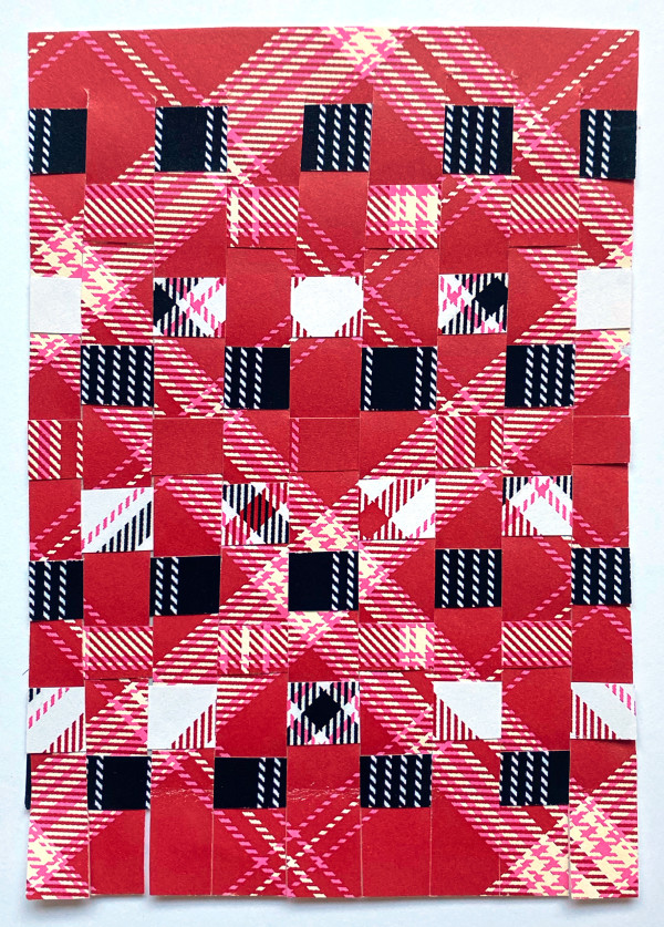Red Plaid Bias Detritus Weave by Anne M Bray