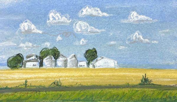 Seymour Illinois Farm by Anne M Bray