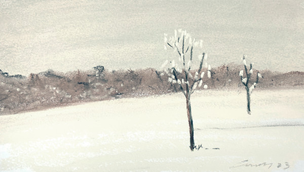 Heavy Snow: Johnson, Vermont by Anne M Bray