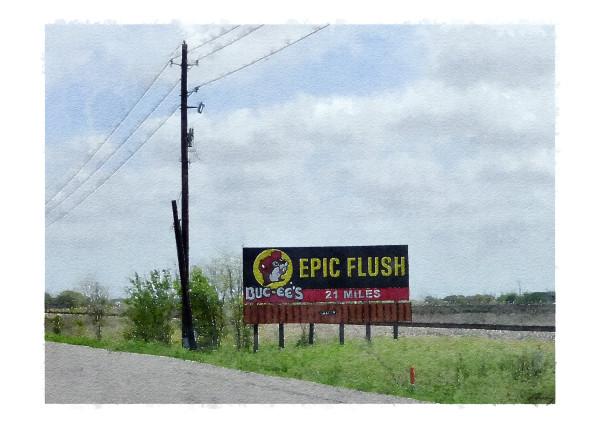 Epic Flush, US59, Texas by Anne M Bray