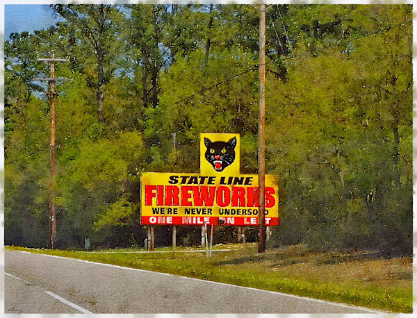 Fireworks, South Carolina by Anne M Bray