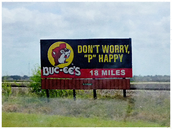 P-Happy, Texas by Anne M Bray