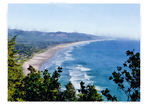 Beach Vista, Oregon by Anne M Bray