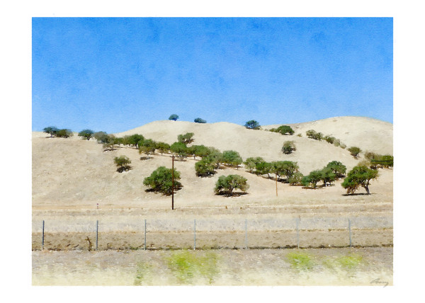 Oaks, US101, California by Anne M Bray