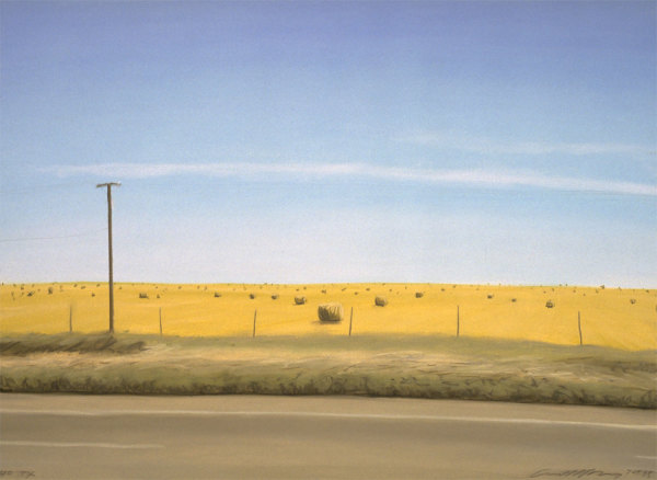 Hay Bales, Texas by Anne M Bray