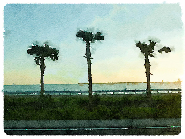 Gulf Sunset, Florida by Anne M Bray