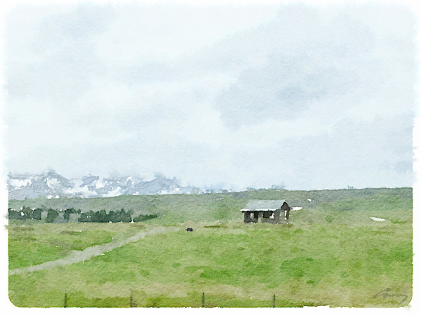 Ranch Vista, Montana by Anne M Bray