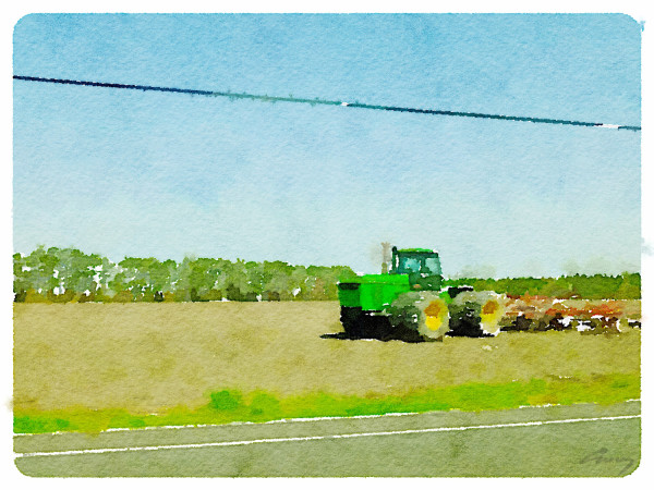 Tractor, North Carolina by Anne M Bray