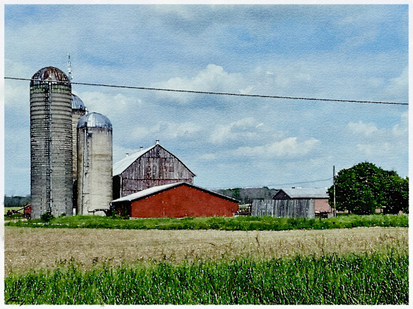 Farm, Beaverton Ontario by Anne M Bray