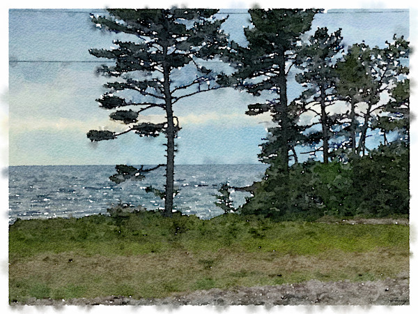 Batchawana Bay Sketch by Anne M Bray