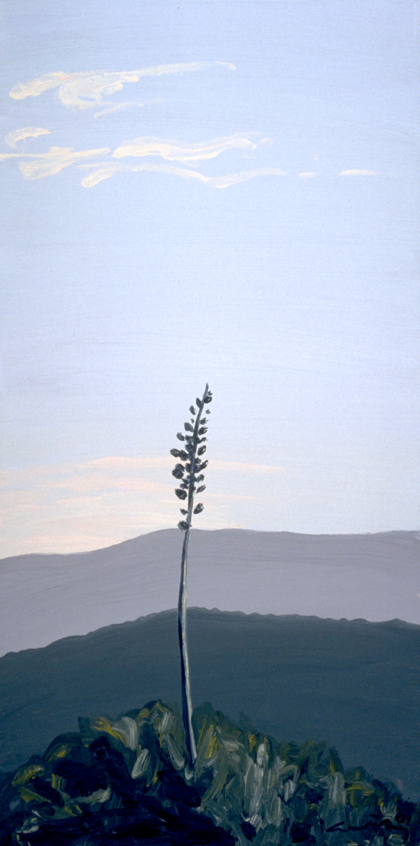 Yucca, 6.9 by Anne M Bray