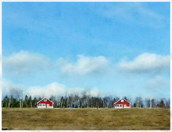 Red Houses, Maine by Anne M Bray