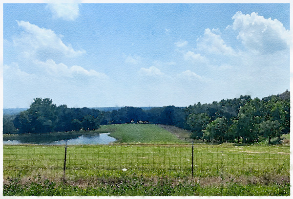 Summer Field, Missouri by Anne M Bray