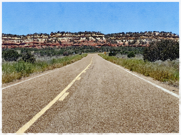 New Mexico SR156 by Anne M Bray