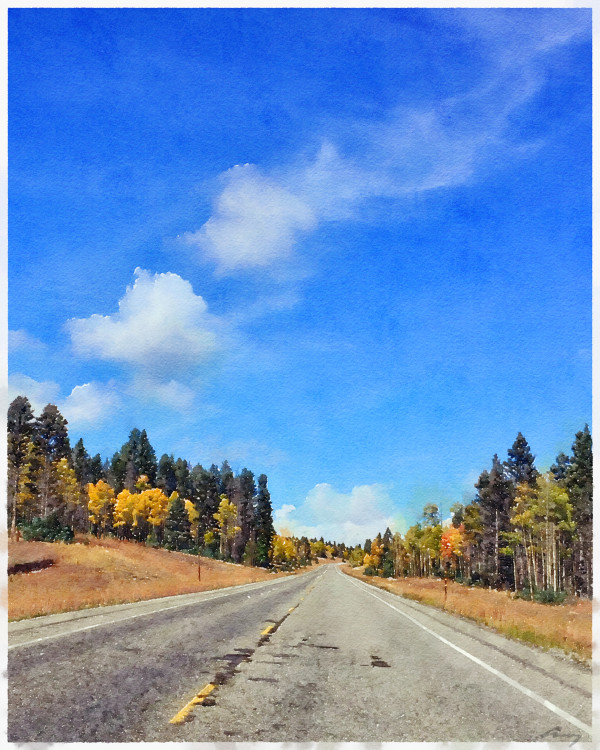 Fall Roadscape, New Mexico by Anne M Bray