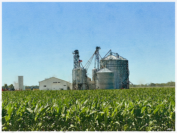 Corn and Silos, Ohio by Anne M Bray