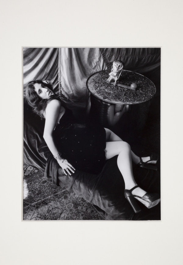 Untitled (girl with owl, carpet and velvet) by Leland Rice