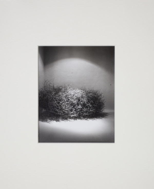 Untitled (Tumbleweed) by Leland Rice