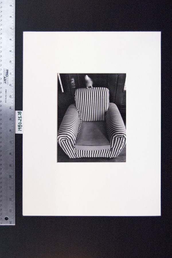 Untitled 1971 (Armchair with Parrot) by Leland Rice