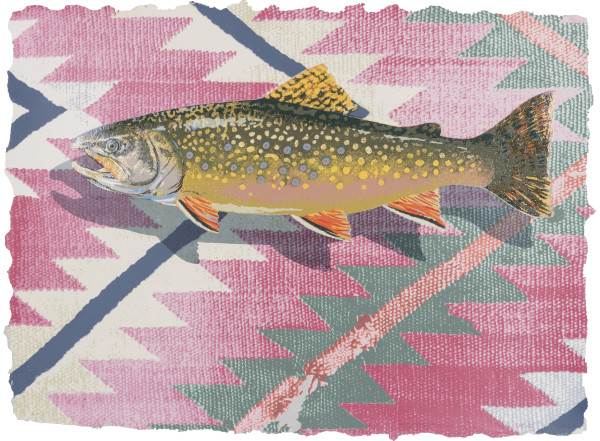Alturas Brook Trout by John Catterall
