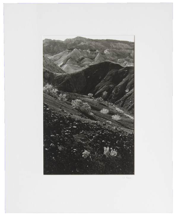 Untitled (#146 , Death Valley , CA) by Edward J. Ross II