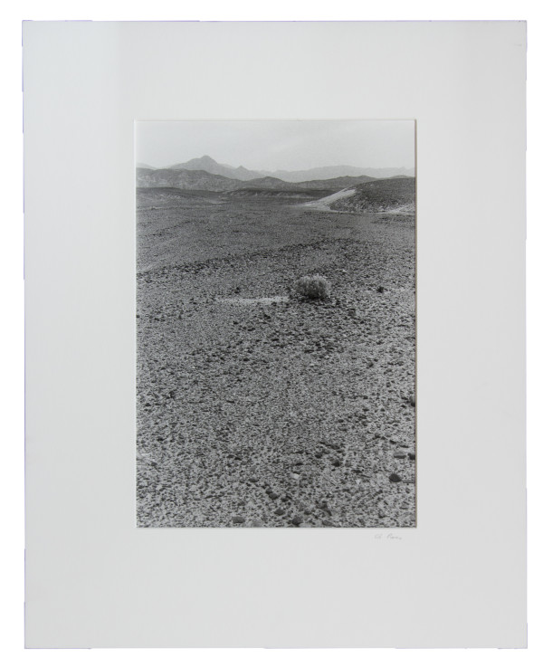 Untitled (#125, Death Valley, CA) by Edward J. Ross II