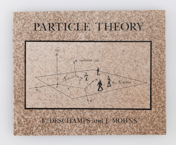 Particle Theory by Francois Deschamps Judith Mohns