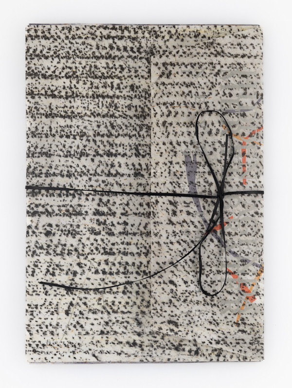 Hidden Agenda by Meryl Brater