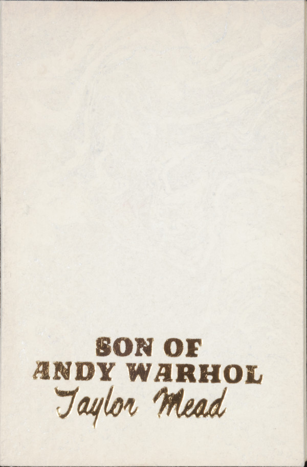 Untitled (Wall Shelf- "Son of Andy Warhol" by Taylor Mead) by Stella Waitzkin