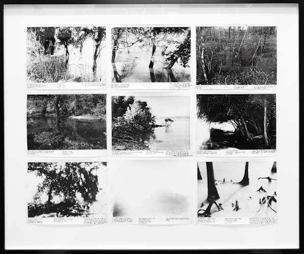 Proofs with Notes for the Series: Drowned Trees Along the Mississippi From Source to Sea Continuing Observations on an American History of Place by Thomas Joshua Cooper
