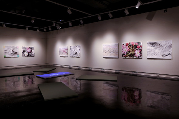 Installation View of Superbloom Gallery 11 by Eric LoPresti