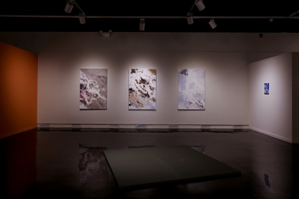 Installation View of Superbloom Gallery 05 by Eric LoPresti