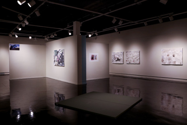 Installation View of Superbloom Gallery 07 by Eric LoPresti