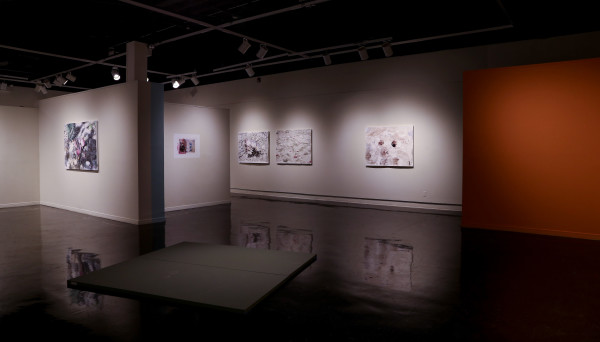 Installation View of Superbloom Gallery 08 by Eric LoPresti