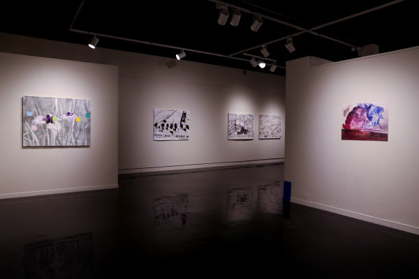 Installation View of Superbloom Gallery 10 by Eric LoPresti