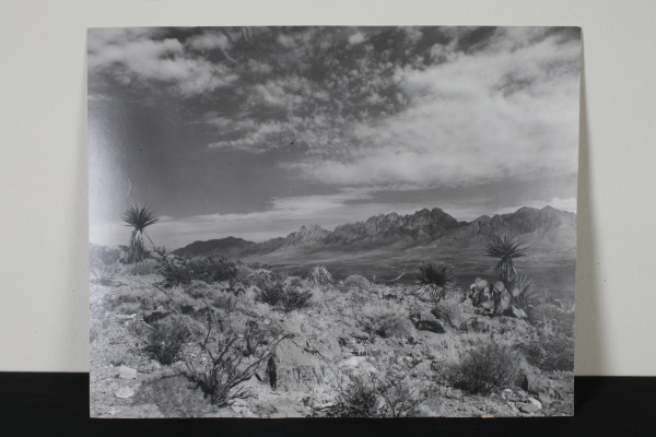 Organ Mountains by Unknown