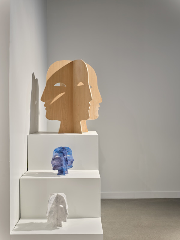 20 Installation view: Carolyn Salas Night Vision by Carolyn Salas