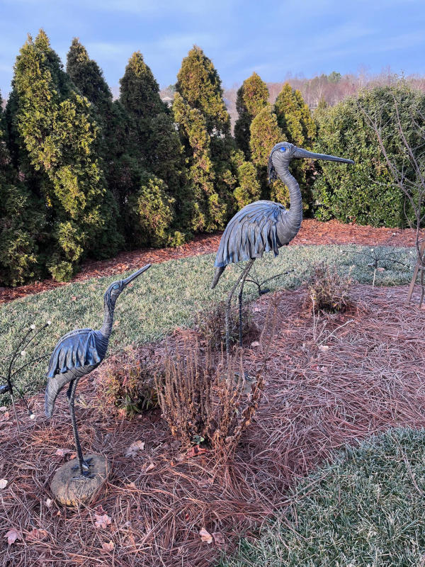 Cranes by Mari Matamoros