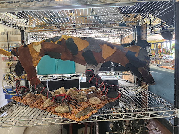 Chupa by Larry Alexis the junkart dog