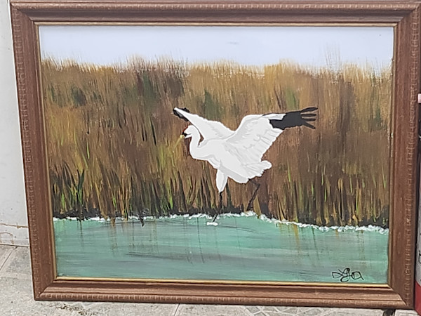 Crane in a Marsh by Larry Alexis the junkart dog