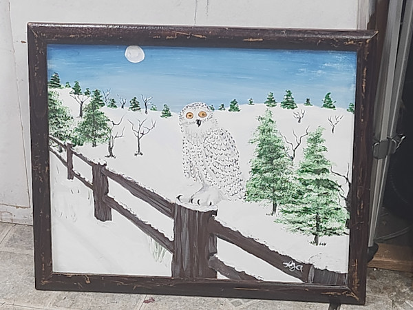 Snow Owl by Larry Alexis the junkart dog